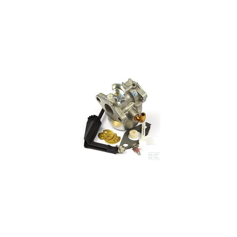 Briggs & Stratton 798653 Carburateur