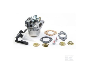 Briggs & Stratton 798654 Carburateur