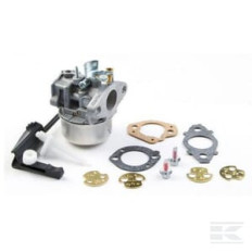 Briggs & Stratton 798654 Carburateur