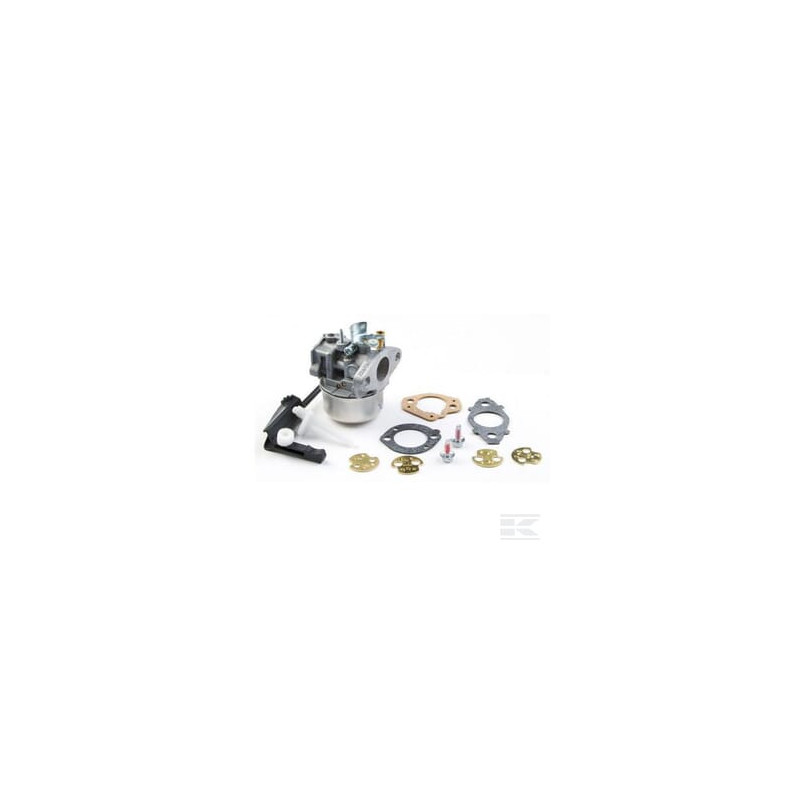 Briggs & Stratton 798654 Carburateur