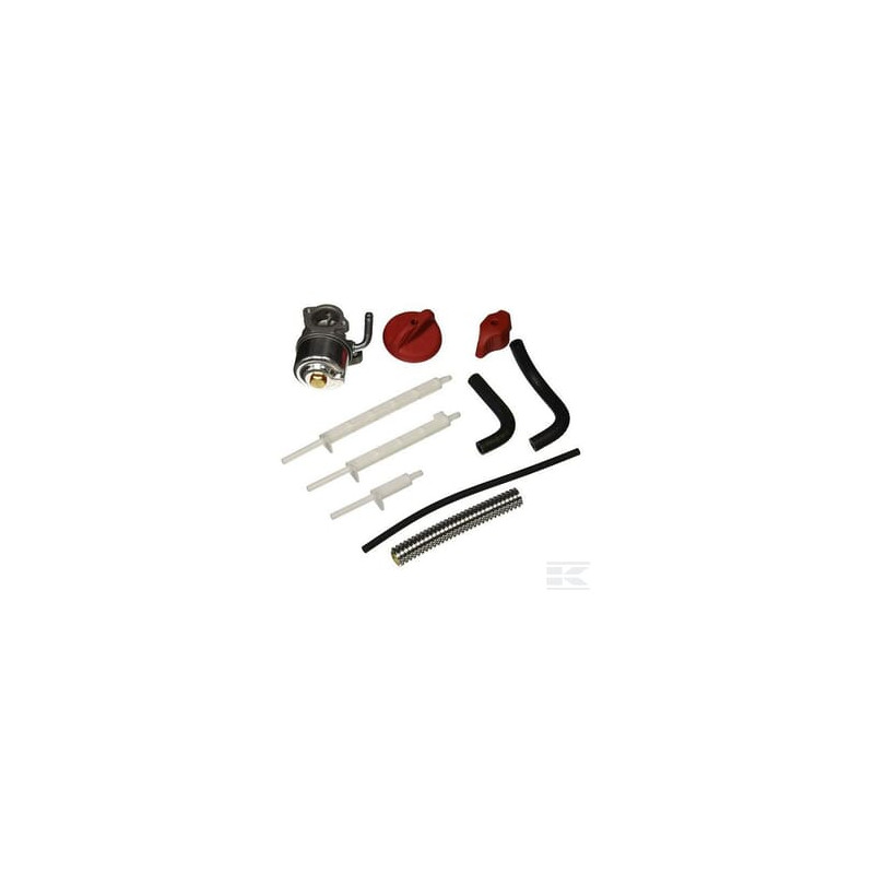 Briggs & Stratton 798917 Carbureteur