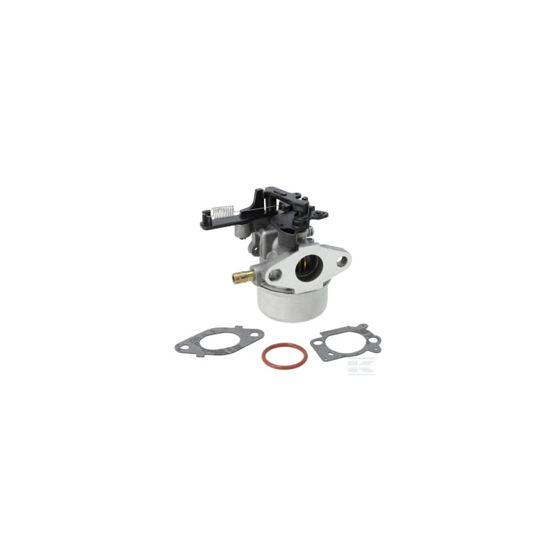 Briggs & Stratton 799447 Carburateur