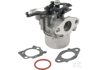 Briggs & Stratton 799479 Carburateur