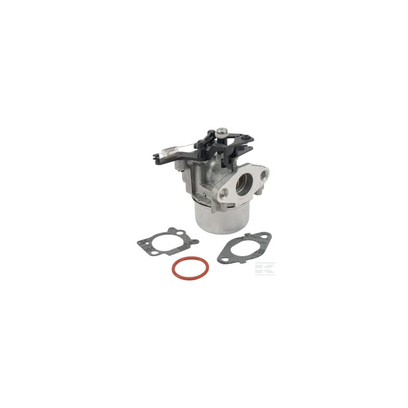 Briggs & Stratton 799479 Carburateur
