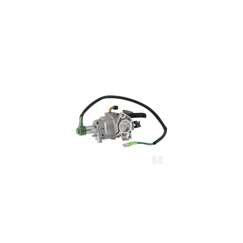 Briggs & Stratton 799773 Carburateur