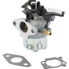 Briggs & Stratton 84001115 Carburateur
