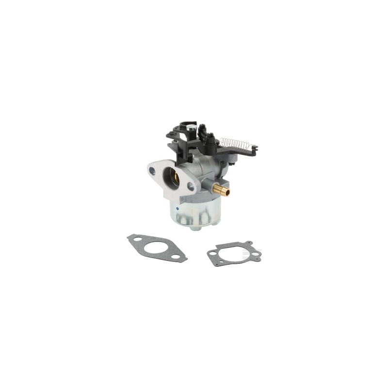Briggs & Stratton 84001115 Carburateur