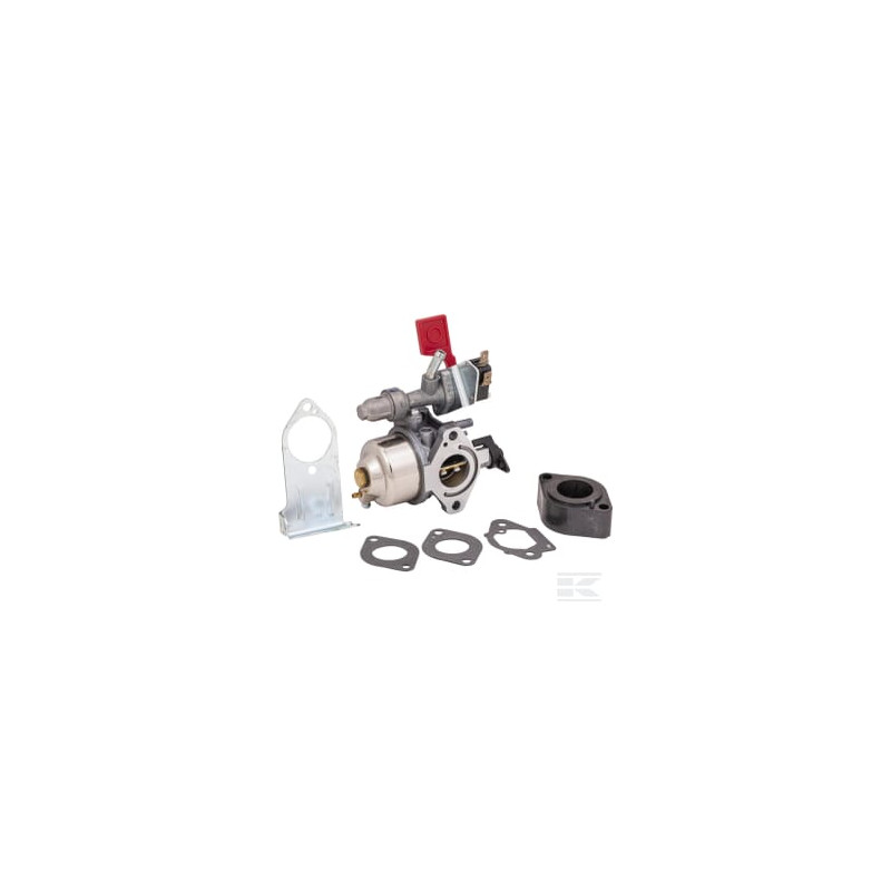 Briggs & Stratton 84004885 Carburateur
