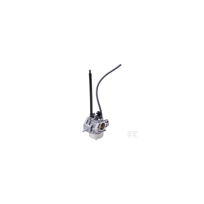 Briggs & Stratton 84005069 Carburateur