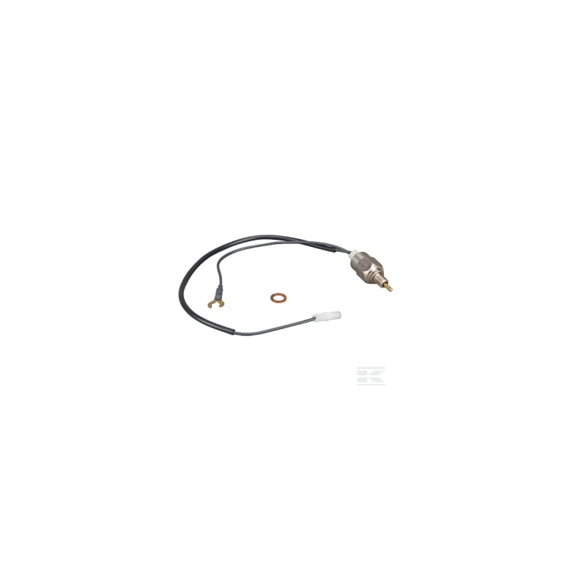 Briggs & Stratton 809632 Relais anti-pétaradage