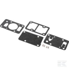 Briggs & Stratton 394462 Kit de réparation de pompe à essence
