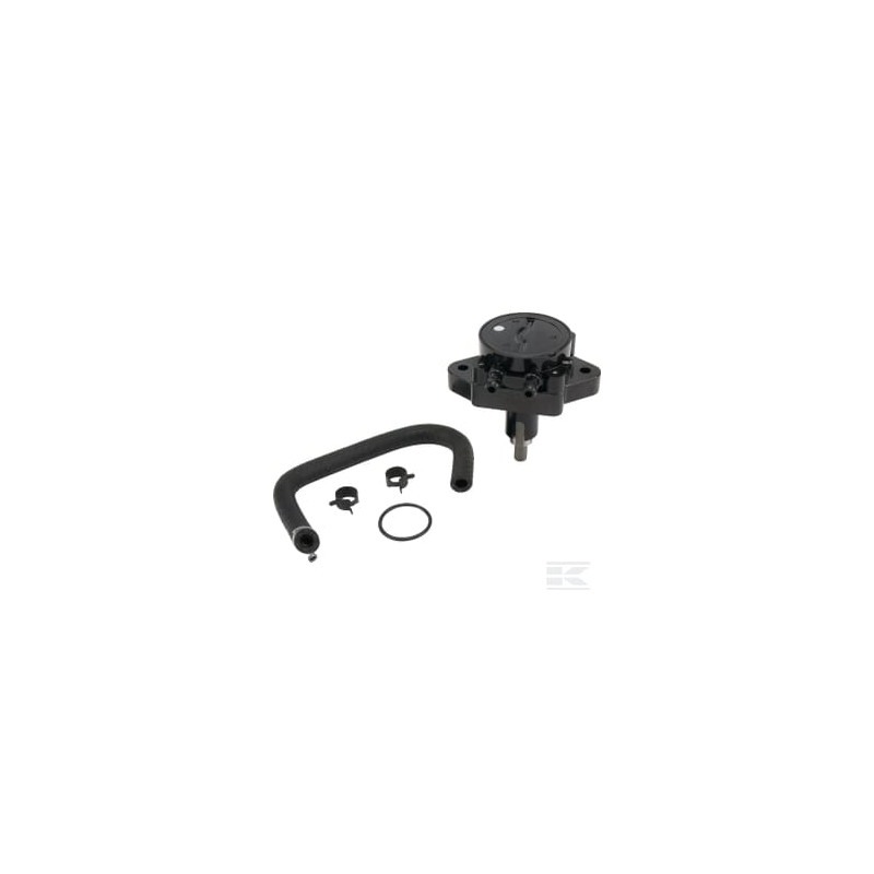 Briggs & Stratton 84006566WM Pompe à carburant
