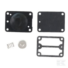 Briggs & Stratton 693502 Kit pompe à essence