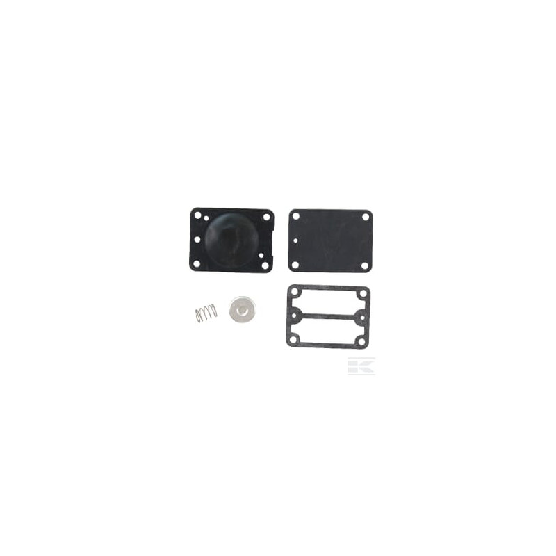 Briggs & Stratton 693502 Kit pompe à essence