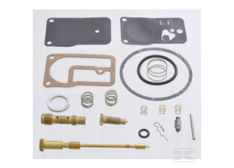 Briggs & Stratton 393544 Kit carburateur