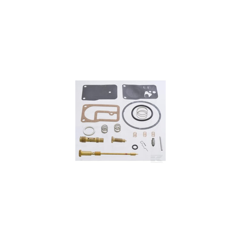Briggs & Stratton 393544 Kit carburateur