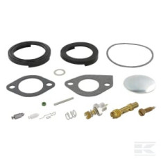 Briggs & Stratton 394698 Kit de réparation carburateur