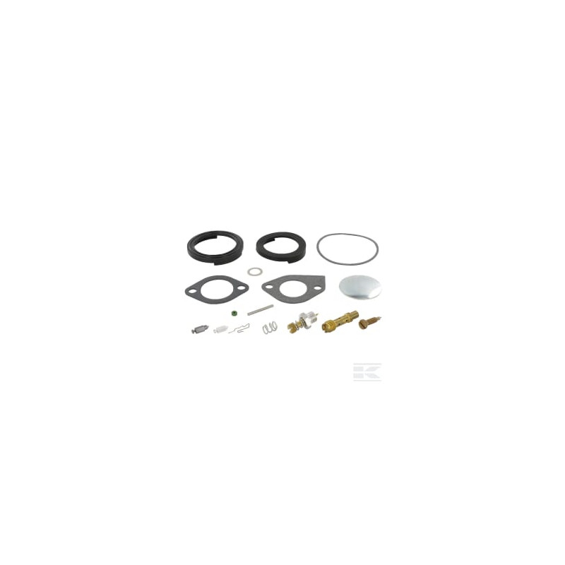 Briggs & Stratton 394698 Kit de réparation carburateur