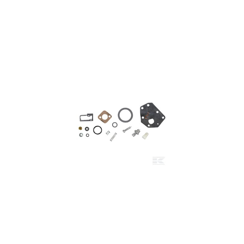 Briggs & Stratton 494622 Kit de réparation carburateur