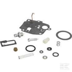 Briggs & Stratton 494623 Kit de réparation carburateur