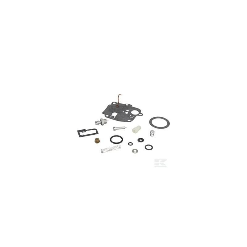 Briggs & Stratton 494623 Kit de réparation carburateur