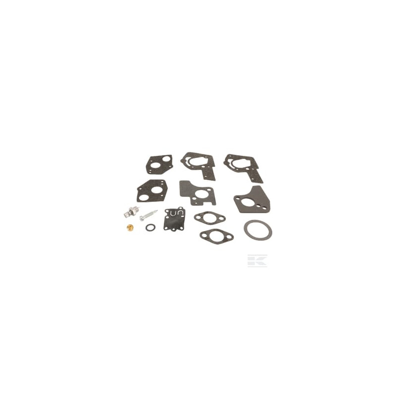 Briggs & Stratton 495606 Kit de réparation carburateur