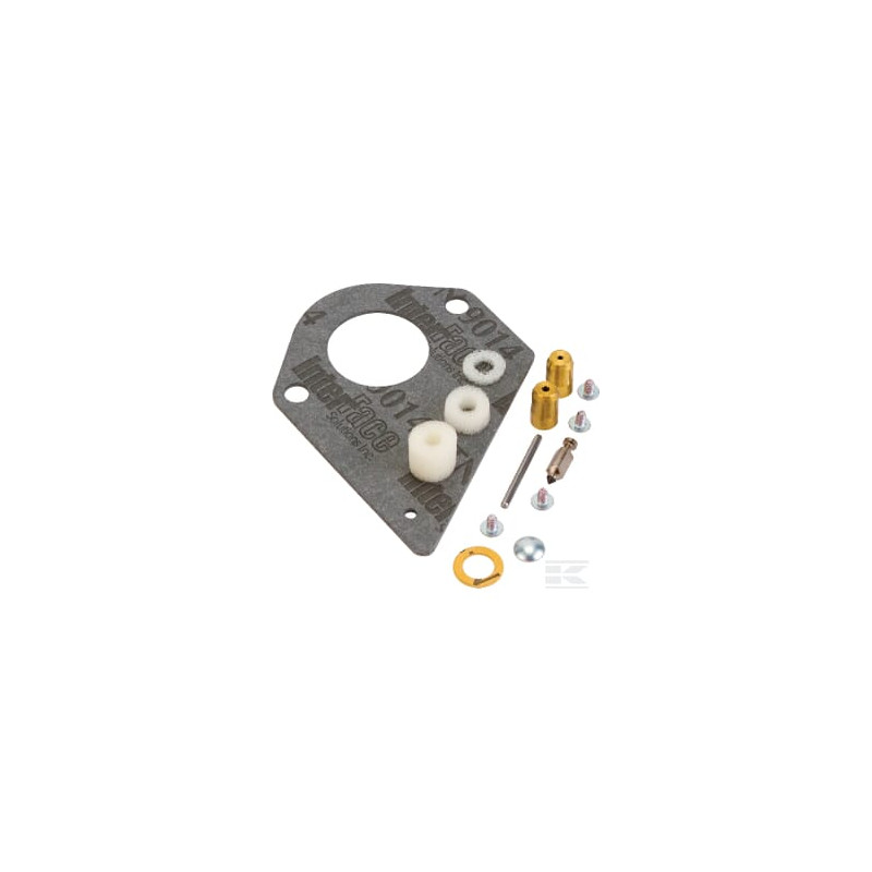 Briggs & Stratton 498116 Kit de réparation carburateur