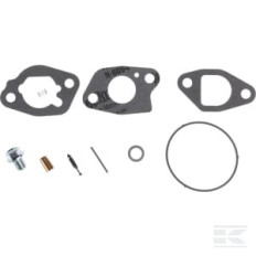 Briggs & Stratton 591770 Kit de révision du carburateur