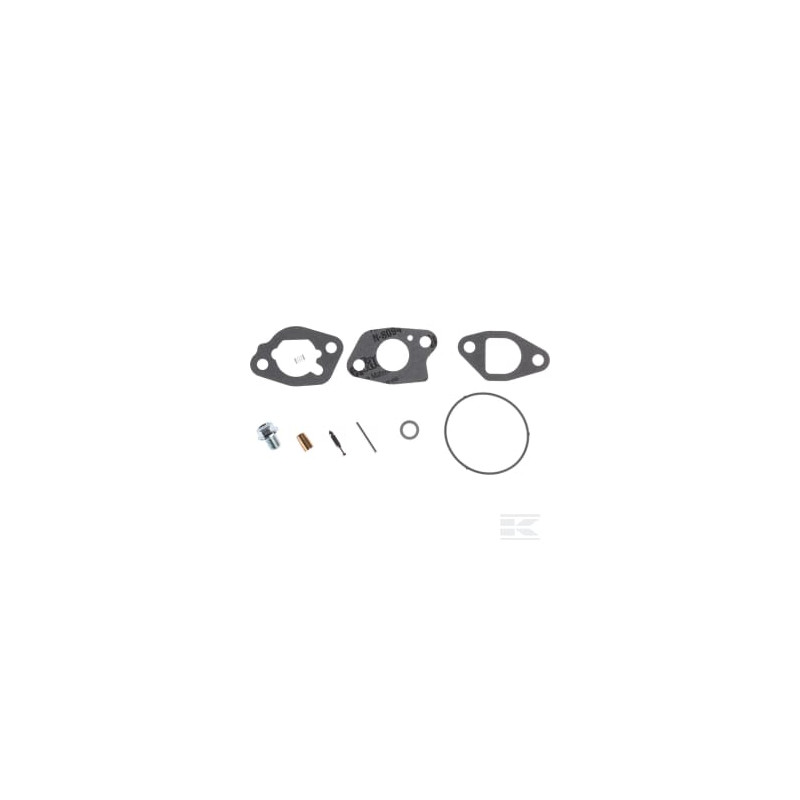 Briggs & Stratton 591770 Kit de révision du carburateur
