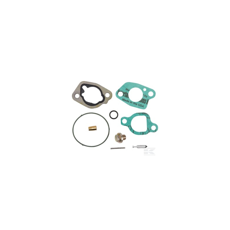Briggs & Stratton 592423 Kit remise en état carburateur