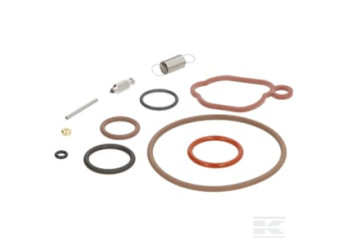 Briggs & Stratton 84013087 Kit de révision pour carburateur