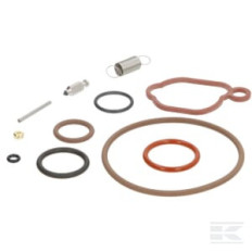 Briggs & Stratton 84013087 Kit de révision pour carburateur