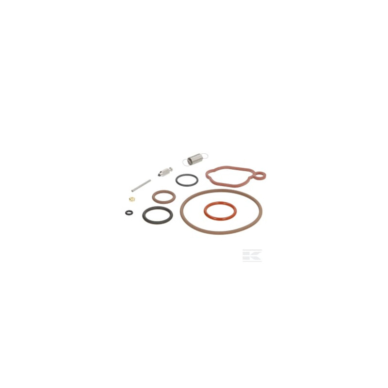 Briggs & Stratton 84013087 Kit de révision pour carburateur