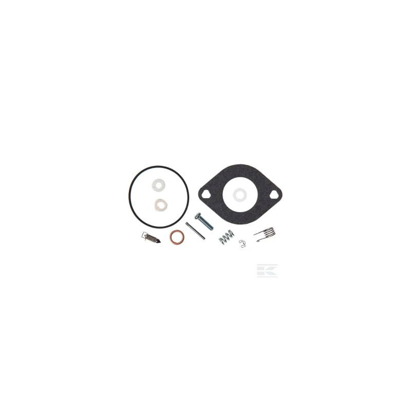 Briggs & Stratton 594886 Kit de révision du carburateur
