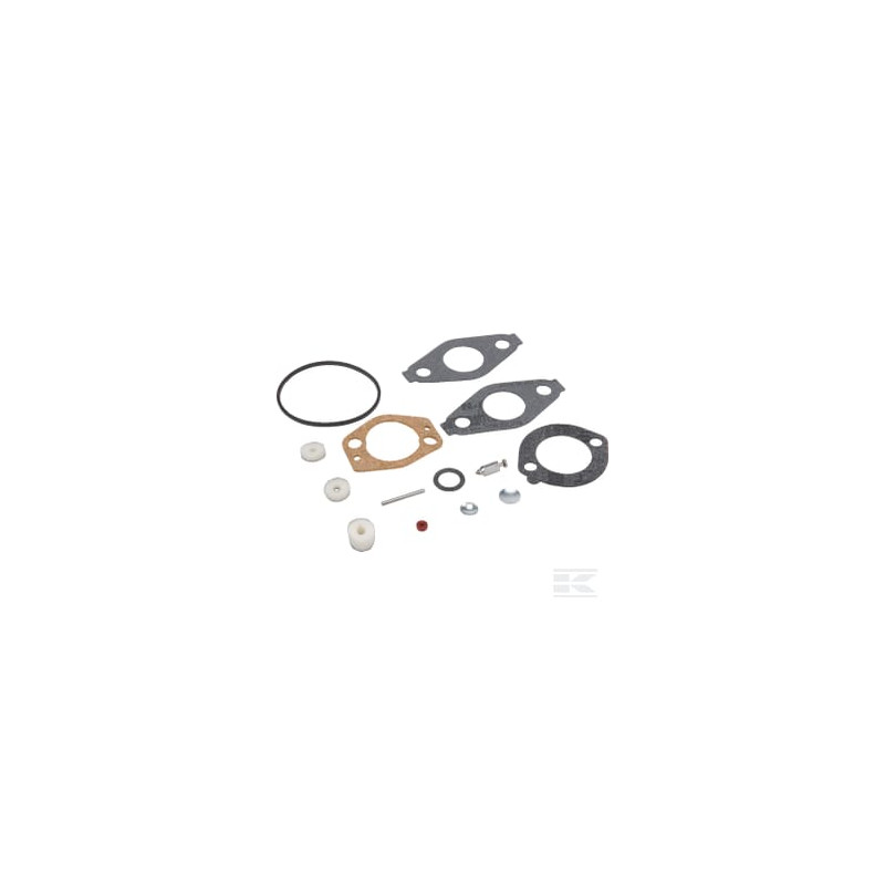 Briggs & Stratton 695157 Kit carburateur