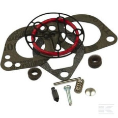 Briggs & Stratton 696146 Kit carburateur