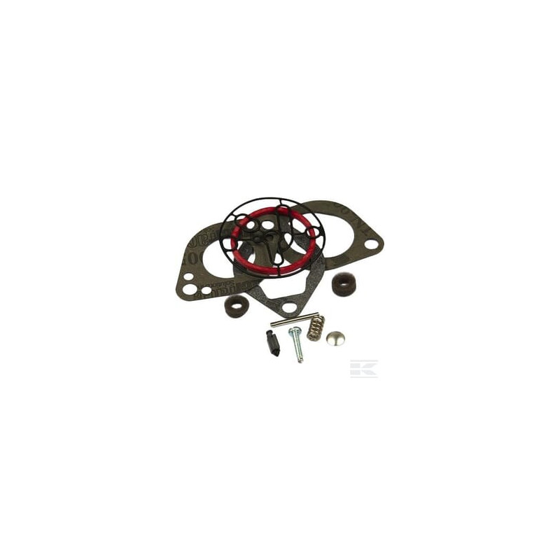 Briggs & Stratton 696146 Kit carburateur