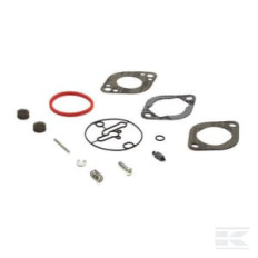 Briggs & Stratton 796137 Kit remise en état carburateur