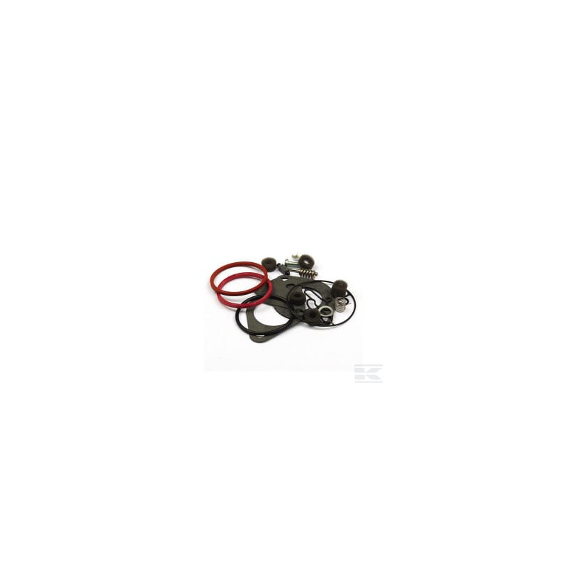 Briggs & Stratton 796184 Kit de réparation carburateur