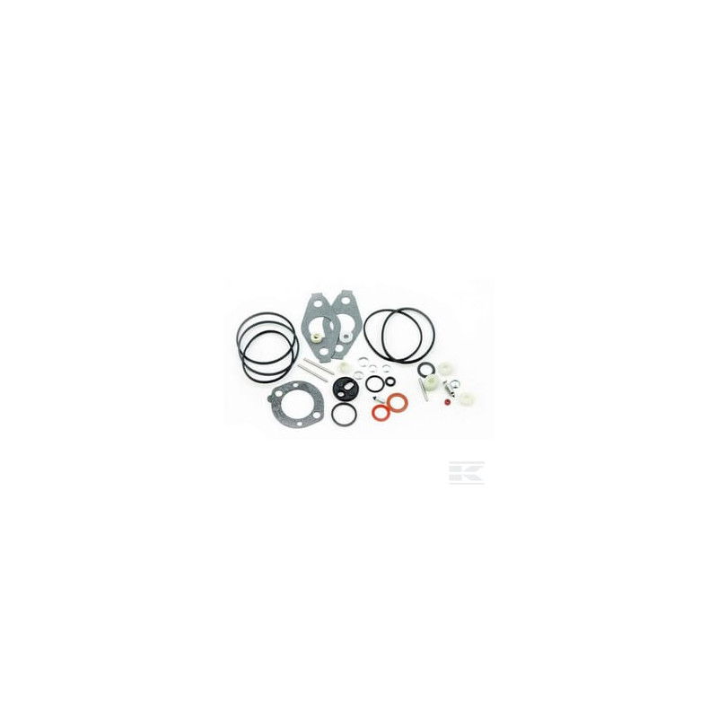Briggs & Stratton 797634 Kit révision carb.