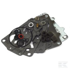 Briggs & Stratton 797890 Kit de réparation carburateur