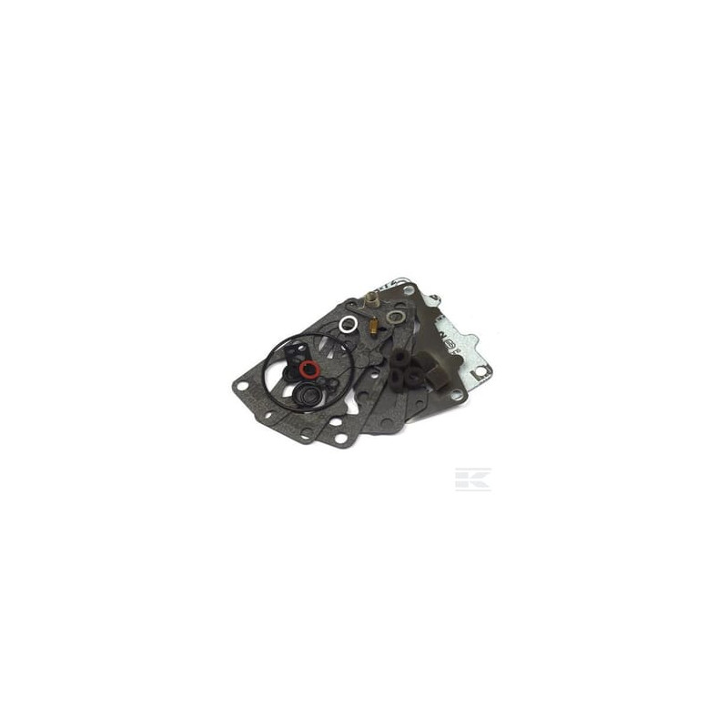 Briggs & Stratton 797890 Kit de réparation carburateur