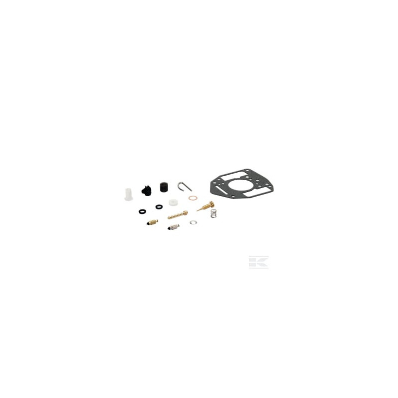 Briggs & Stratton 809021 Kit de réparation carburateur