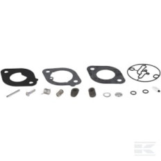 Briggs & Stratton 84001917 Kit de révision pour carburateur