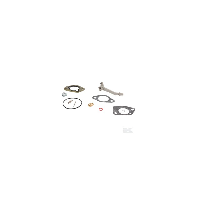 Briggs & Stratton 84004389 Kit de révision pour carburateur