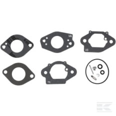 Briggs & Stratton 84004975 Kit de révision pour carburateur