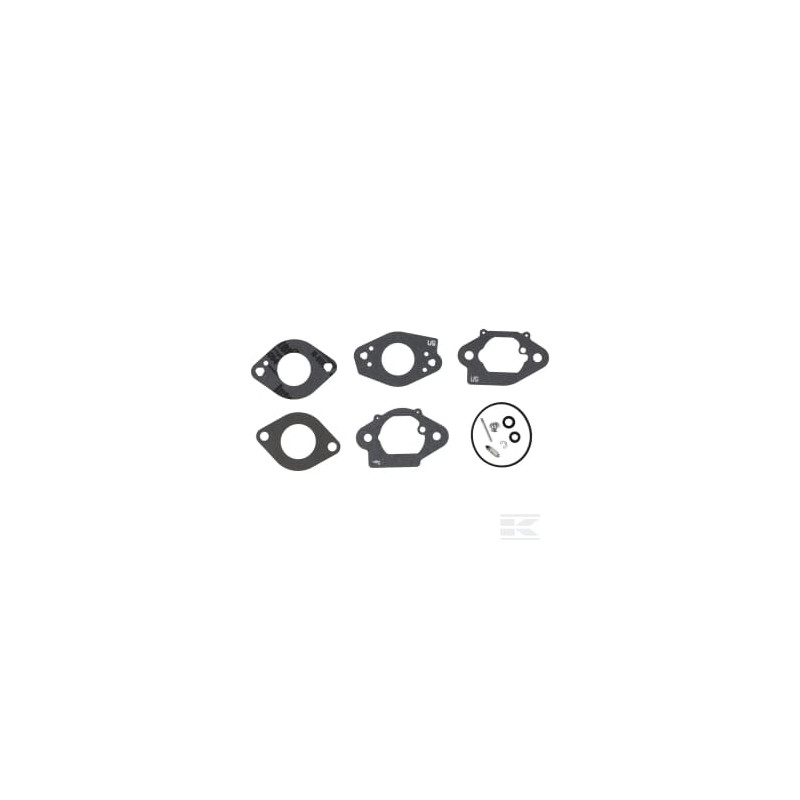 Briggs & Stratton 84004975 Kit de révision pour carburateur