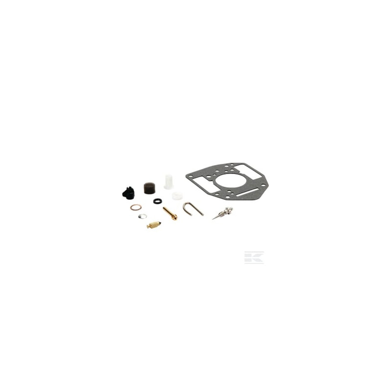 Briggs & Stratton 842877 Carburateur kit de réparation