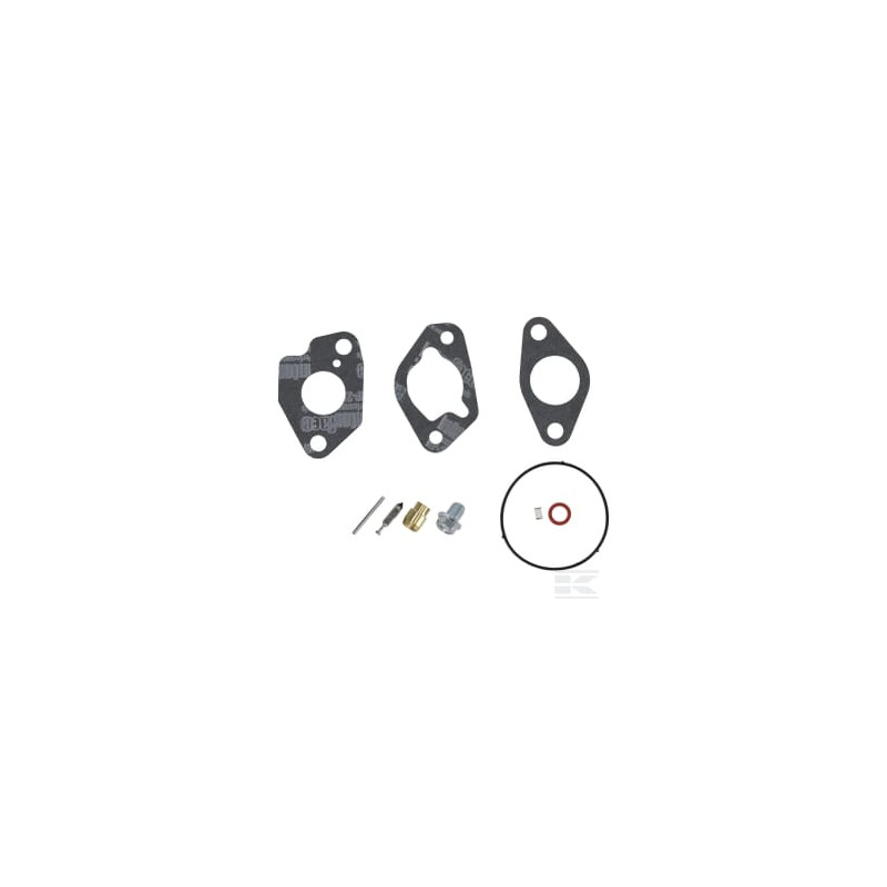 Briggs & Stratton 84004390 Kit de révision du carburateur