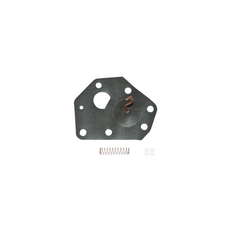 Briggs & Stratton 299637 Membrane B&S